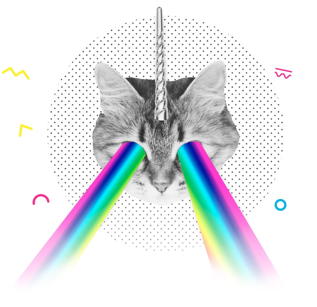 https://www.caffeinate.com.au/wp-content/uploads/2019/06/reports-analytics_artboard-5.gif